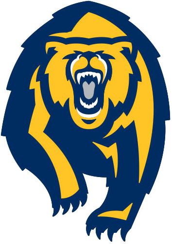 California Golden Bears 2013-Pres Alternate Logo DIY iron on transfer (heat transfer)